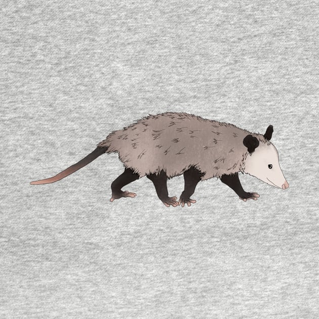 Little opossum by Black Squirrel CT